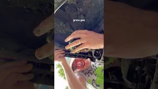 Thumbnail: Grass Goo