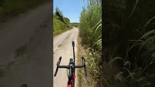 Thumbnail: Stunning Tuscany gravel