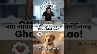 Thumbnail: Office Stress Ghar Mat Lao! (Your Dog Knows) 🏠🐕 #puppytraining #dogbehavior #dogtraining