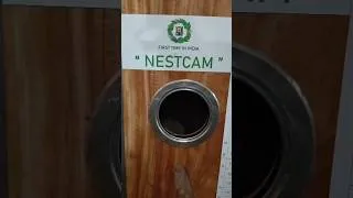 Thumbnail: Breeding Box for Parrot with Night Vision Camera #sunconure #breedingbox #camera
