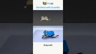 Thumbnail: Robot Sim2Real with Quaddle Open Source Robot Dog - Two Worlds (Real + Simulator)