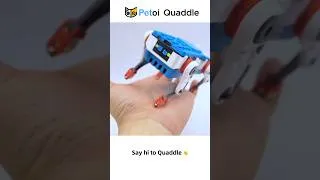Thumbnail: Quaddle: A Programmable Physical AI Mini Robot for Maker & STEM Education