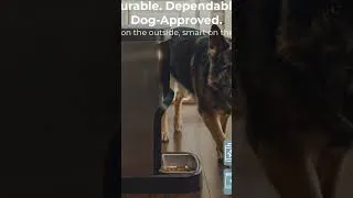 Thumbnail: SMARTFeeder 20L Automatic Dog & Cat Feeder