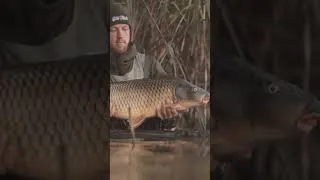 Thumbnail: #fishing in the backwaters. 🐟🎣