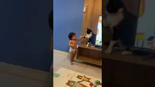 Thumbnail: Instant karma in action #shorts #cats #cat