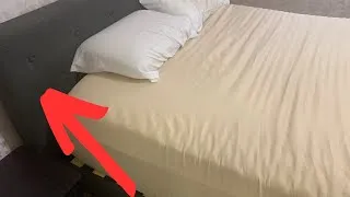 Thumbnail: Our Experience After Years With Zinus Shalini Bed Frame