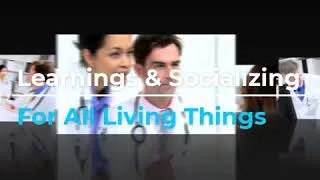 Thumbnail: PHARMATIVE Live