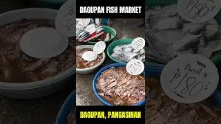Thumbnail: Biggest Seafood Market in Pangasinan! Dagupan Fish Market #Philippines