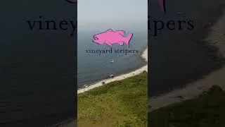 Thumbnail: Vineyard Stripers: my my first experience ever fly fishing for striped bass. Full video is live!