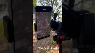 Thumbnail: vivo X300 Ultra Camera Kit Wildlife Test | Brown Hawk Owl