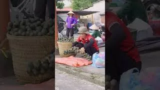 Thumbnail: Harvesting Jungle Idukki Fruit to Sell – Nature’s Priceless Gift with Powerful Healing Powers!