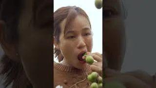 Thumbnail: Women Harvesting TOAD FRUIT Go to market sell - Make unique pickled TOAD at home - Farm life