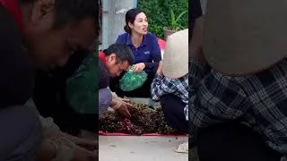 Thumbnail: Village Woman Harvests Wild Grapes & Makes Wine to Sell at Market – Tropical Rural Life 🍇🍷