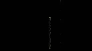 Thumbnail: Simulatuon of Slinky in the gravity field -bottom part remains stationary until Slinky has collapsed