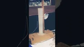 Thumbnail: Robotics Exhibition