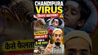 Thumbnail: 😨 Chandipura Virus से बचना है? जानिए 5 सबसे जरूरी बातें! #chandipuravirus #virus #shortsfeed