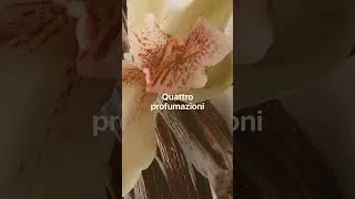 Thumbnail: Phytorelax Hair & Body Mist Sensory collection