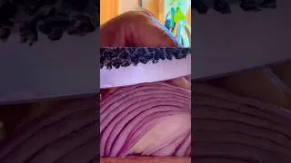 Thumbnail: Slicing an onion