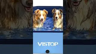 Thumbnail: Foldable Dog Pool, Hard Plastic Shell Portable Swimming Pool
