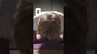 Thumbnail: Dennis macht 10 Liegestütze!