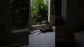 Thumbnail: Guitar and this weather🌿 #guitar