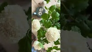 Thumbnail: A little garden joy to brighten your day
