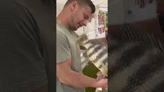 Thumbnail: Antique Festival Fun!