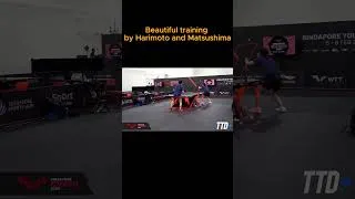 Thumbnail: beautiful training of Harimoto
