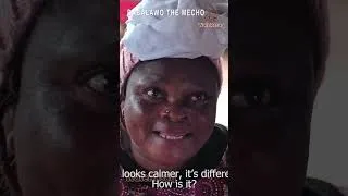 Thumbnail: Babalawo The Mecho Yoruba Movie 2024 Official Trailer Now Showing On Wale Rasaq Tv
