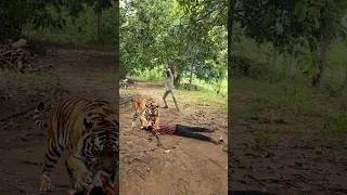 Thumbnail: Outdoorfood U Are So Kind My Brother Share Food In Forest #survival #camping #forest #outdoor