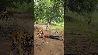 Thumbnail: Outdoorfood U Are So Kind My Brother Share Food In Forest #survival #camping #forest #outdoor