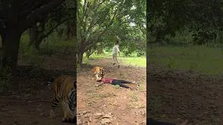 Thumbnail: Outdoorfood U Are So Kind My Brother Share Food In Forest #survival #camping #forest #outdoor