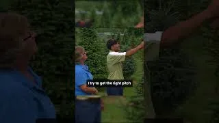 Thumbnail: Tree Shearing The Perfect Christmas Tree