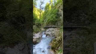 Thumbnail: Wąwóz Vintgar w Słowenii - cz. 1