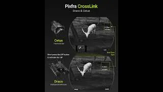 Thumbnail: How Does Pixfra CrossLink Perform