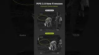 Thumbnail: See Animal Fur at Night?! Draco Ultimate Thermal Image Upgrade!