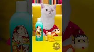 Thumbnail: Cat fun with a surprise effect 🐱