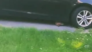 Thumbnail: The car hog