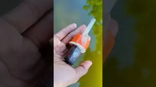 Thumbnail: Awesome Ideas For Motor | DIY MINI WATER PUMP | DC Motor #shorts