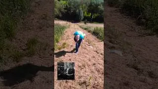 Thumbnail: Josh Running Up That Hill!(With Style-2016)🎵🌤🍀