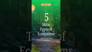Thumbnail: 5 Types of Ecosystems🌿| Forest, Desert, Aquatic & More #shorts #ecosystem