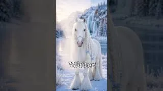 Thumbnail: Four Seasons | Magical Horses Through Spring, Summer, Fall & Winter.  Which Season Horse Are You?