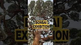 Thumbnail: 10th World Bonsai Convention 2026 Pavilion Bukit Jalil