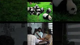 Thumbnail: China Upside Down Trip | Travel with BP
