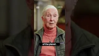 Thumbnail: Jane Goodall changed what it means to be human