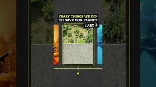 Thumbnail: We planted 40,000 trees to turn barren land into a lush forest garden