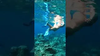 Thumbnail: Maldives 4K 🌊 | Tropical Island Beauty in Seconds #shorts  #travel4k