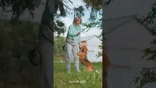 Thumbnail: Pest Protection Should Feel Thoughtful