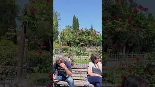 Thumbnail: Rose Garden