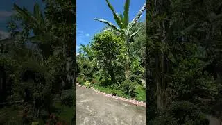 Thumbnail: What style of landscape garden is this? 🤔